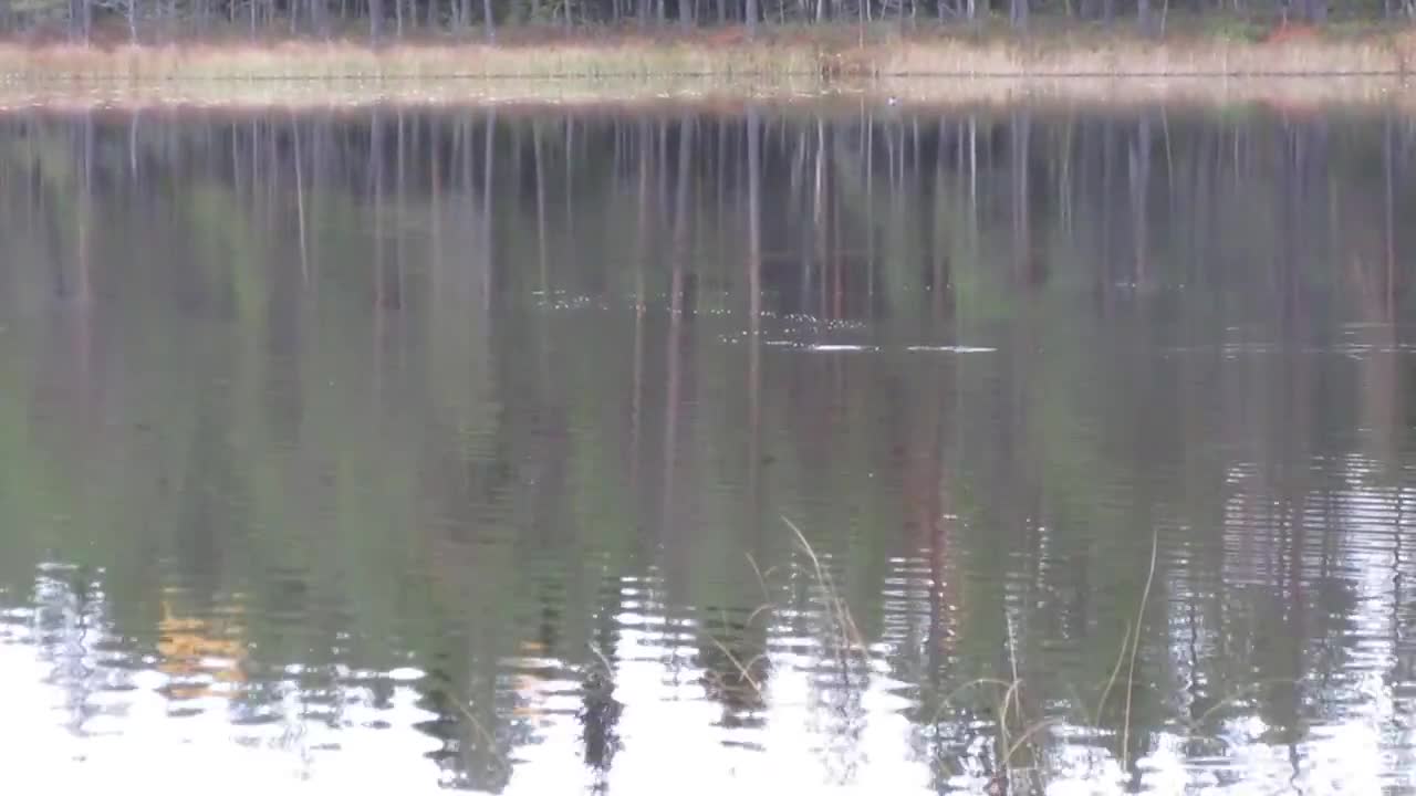 Väreilyä vedessä