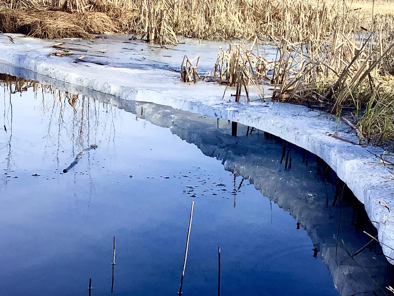 Järvien vedenkorkeuden sääntely vaikuttaa veden laatuun paljon. Useimmat riidat aiheutuvat, kun vesipinta lasketaan liian alas heti jäiden sulamisesta alkaen.