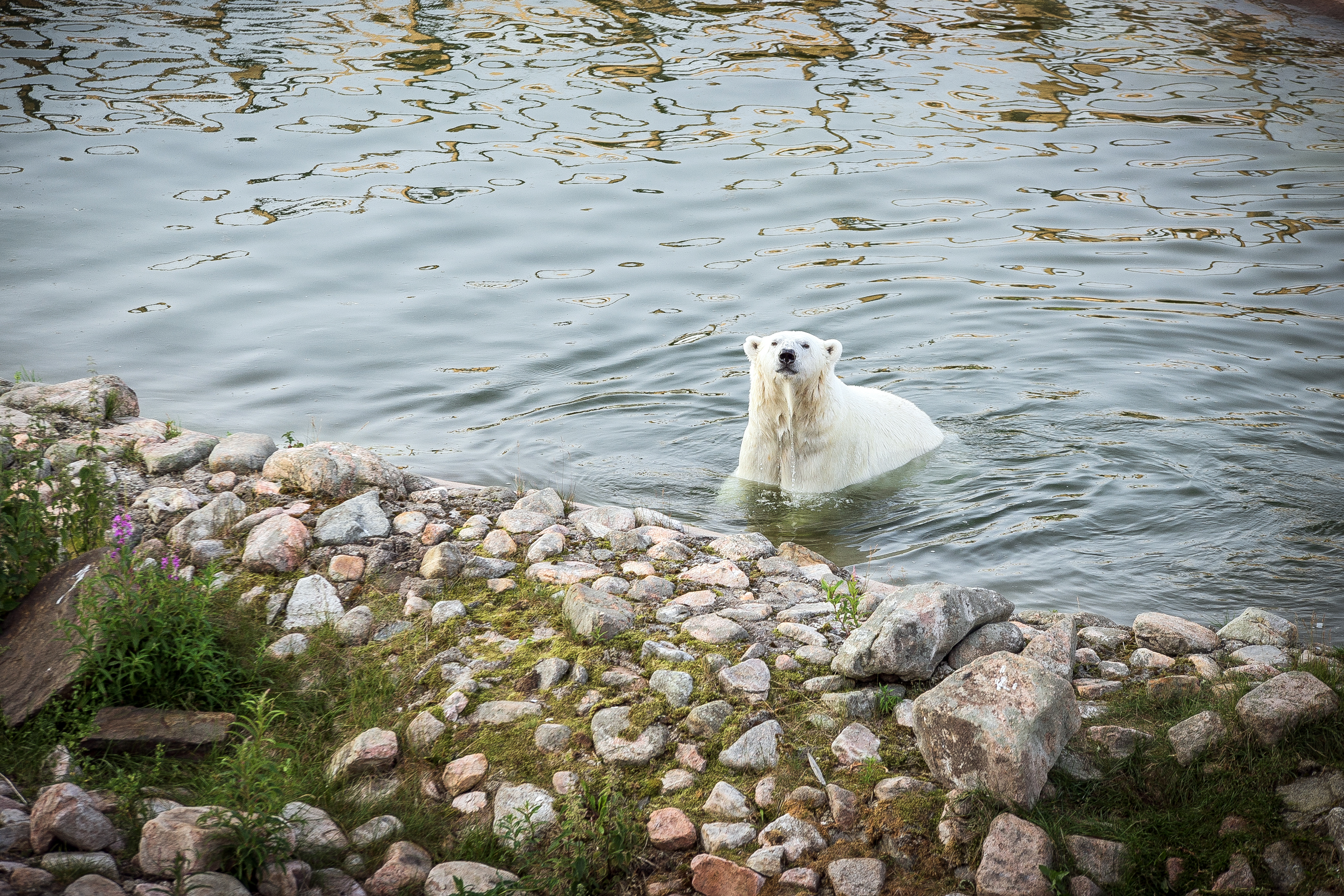 "Mitä ihmeen kolinaa sieltä ulkopuolelta kuuluu?"