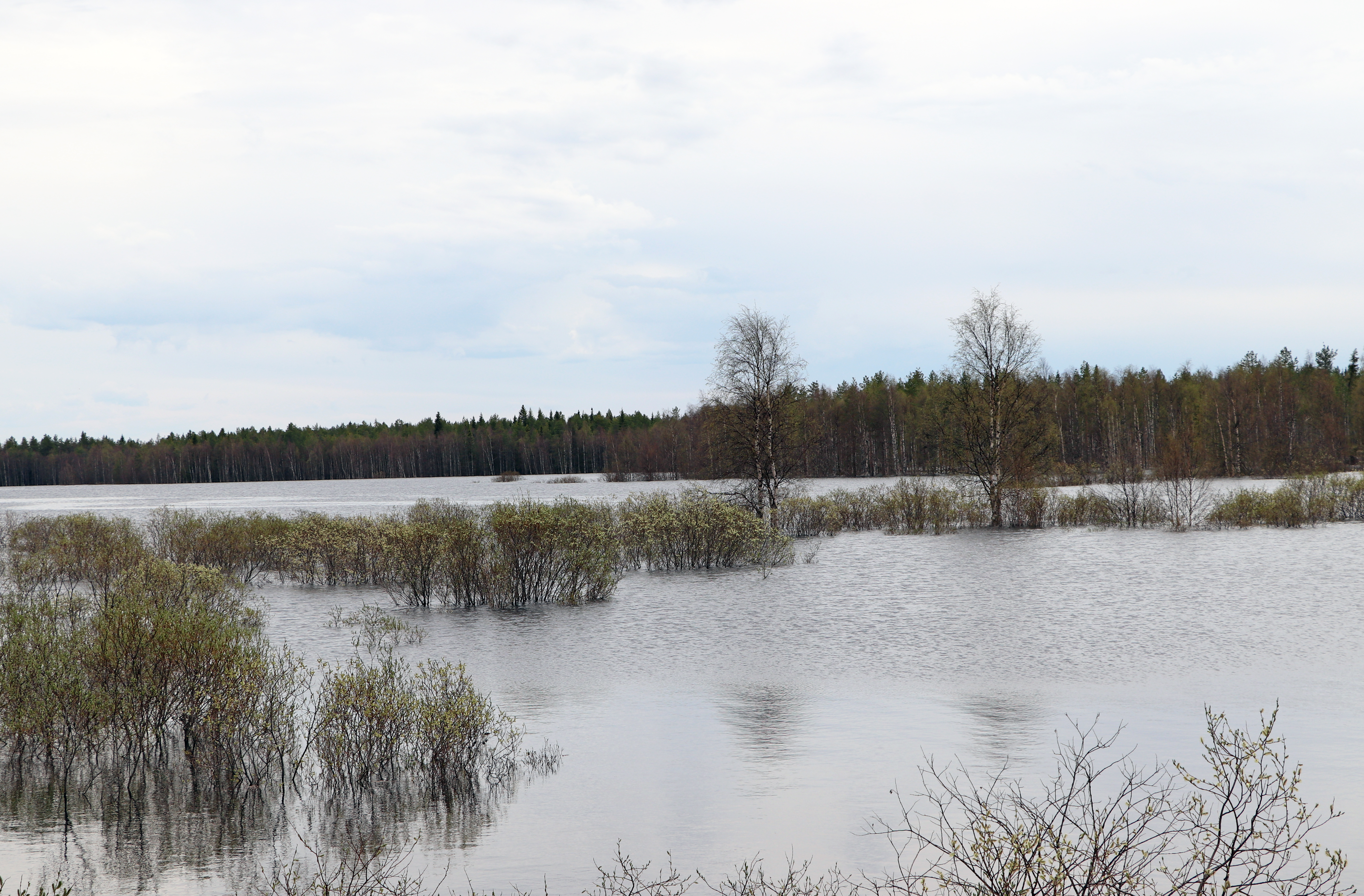 Pudasjärveä Tuulisalmen kohdalla 27.5.2020.