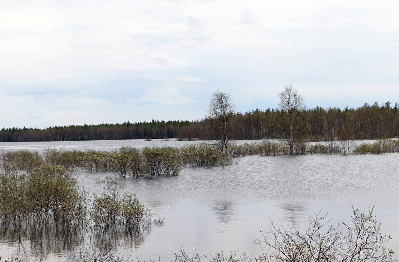 Pudasjärveä Tuulisalmen kohdalla 27.5.2020.
