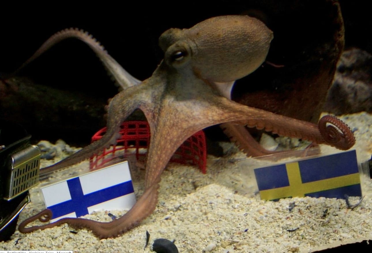 Valitseeko tursas Suomen vai Ruotsin?