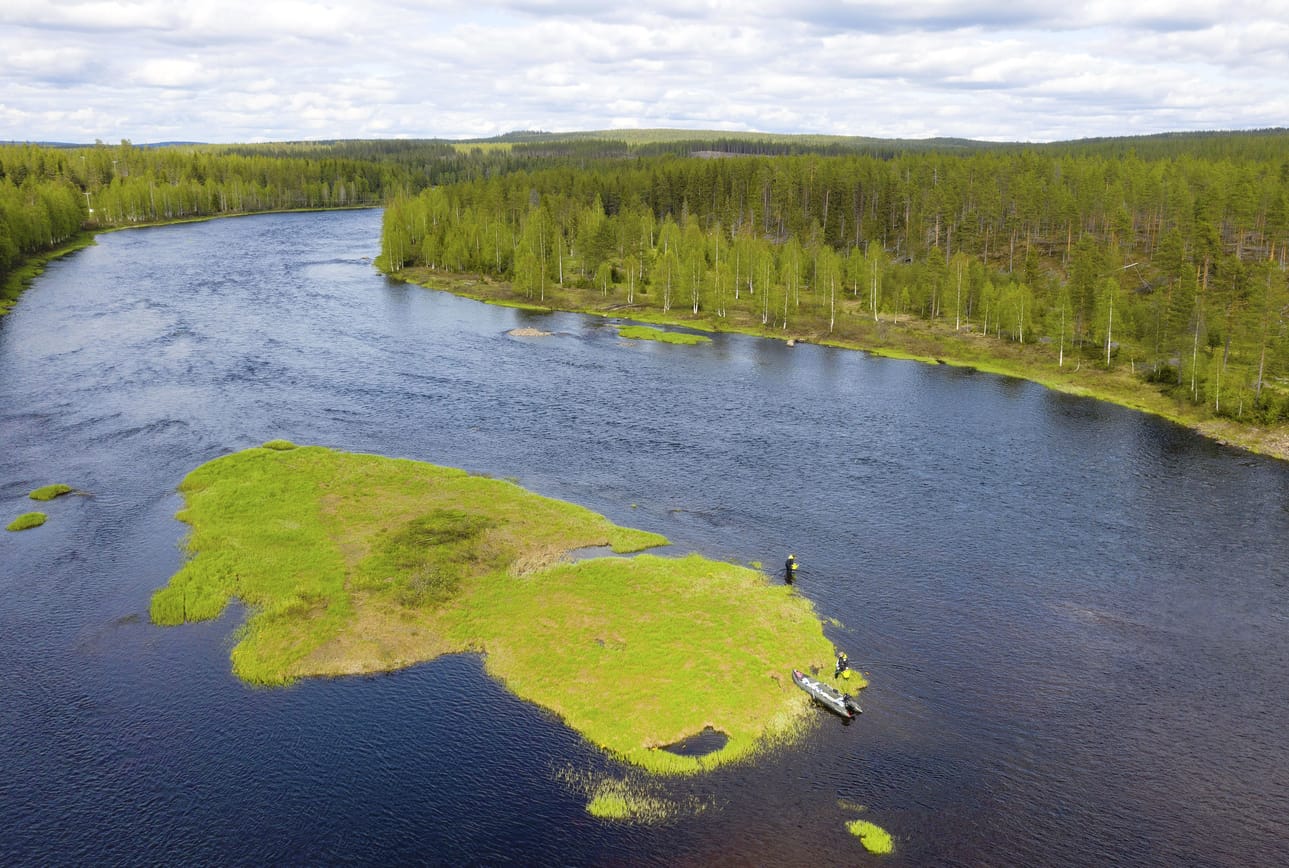 Kari Sarajärvi ja Joonas Fontell Metsähallituksesta istuttamassa merilohia Iijoen pääuomaan.