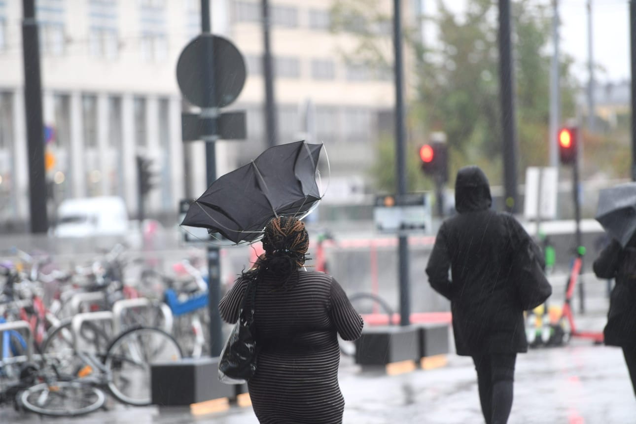 Pohjanmaalta Varsinais-Suomeen yltävällä alueella tuuli voi yltää puuskissa jopa kahteenkymmeneen metriin sekunnissa. Kuvituskuva. LEHTIKUVA / Silja-Riikka Seppälä