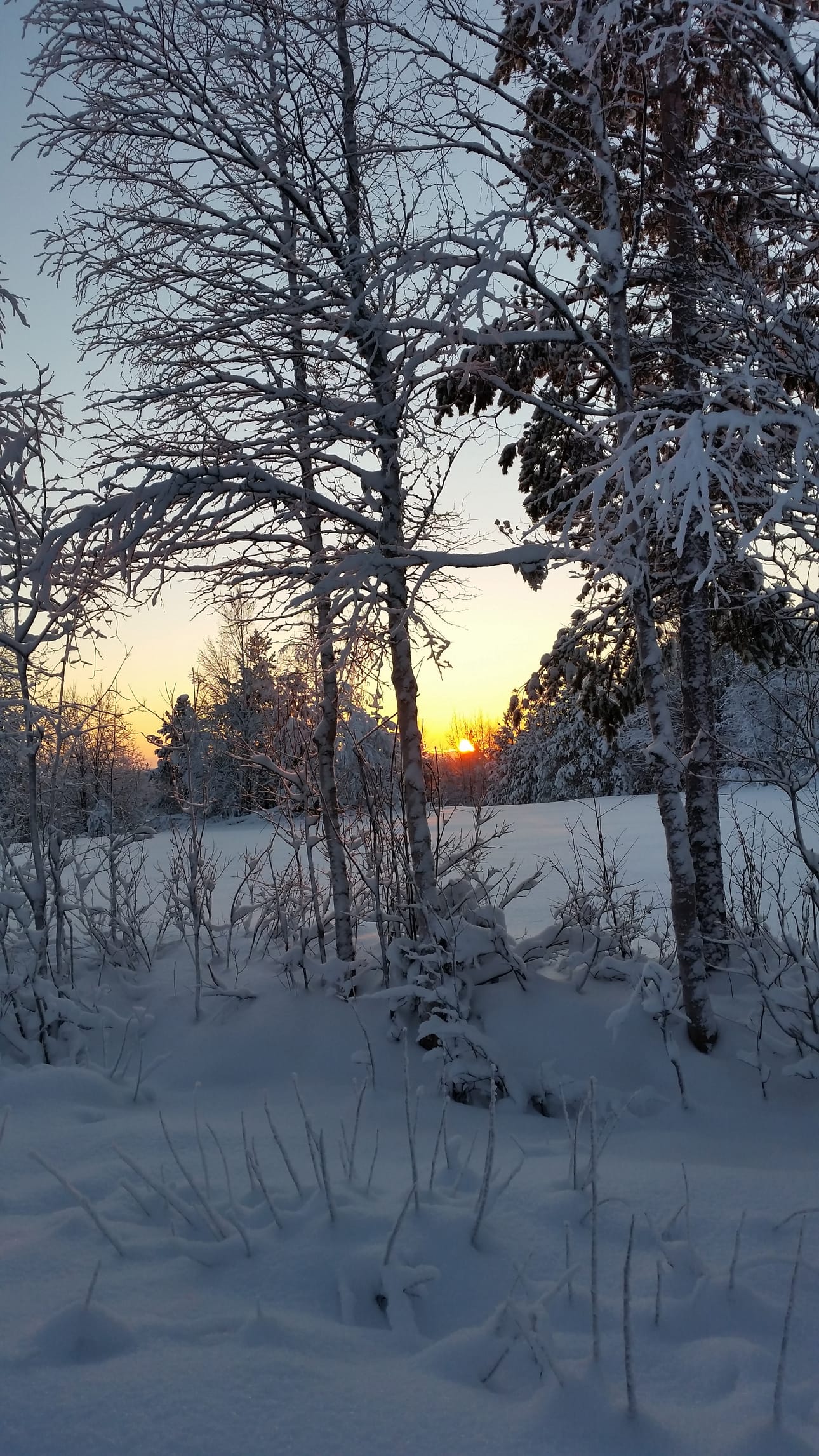 Pakkanen paukkuu, vaan aurinko heittelee vielä säteitään.