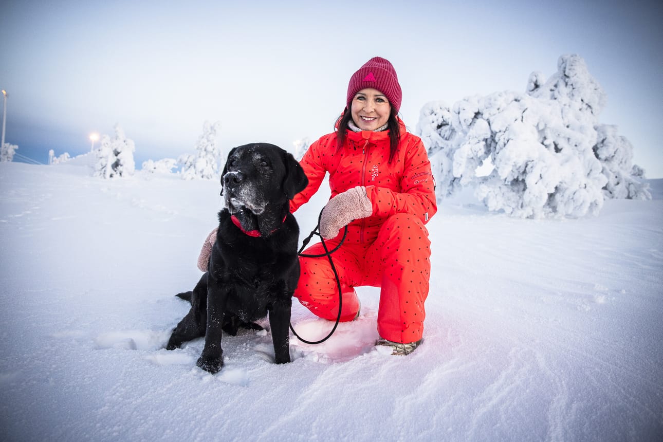 11-vuotias labradorinnoutaja Ibra on Lassilalle on äärimmäisen rakas. – Hän on vertaansa vailla: harmaahapsiherrasmies, joka aistii kaiken ja on minulle uskomaton voimavara.