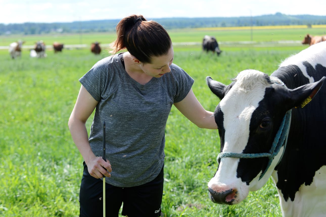 Sieviläinen Ella Kangasoja kertoo, että töiden ja opintojen yhdistäminen onnistui hyvin.