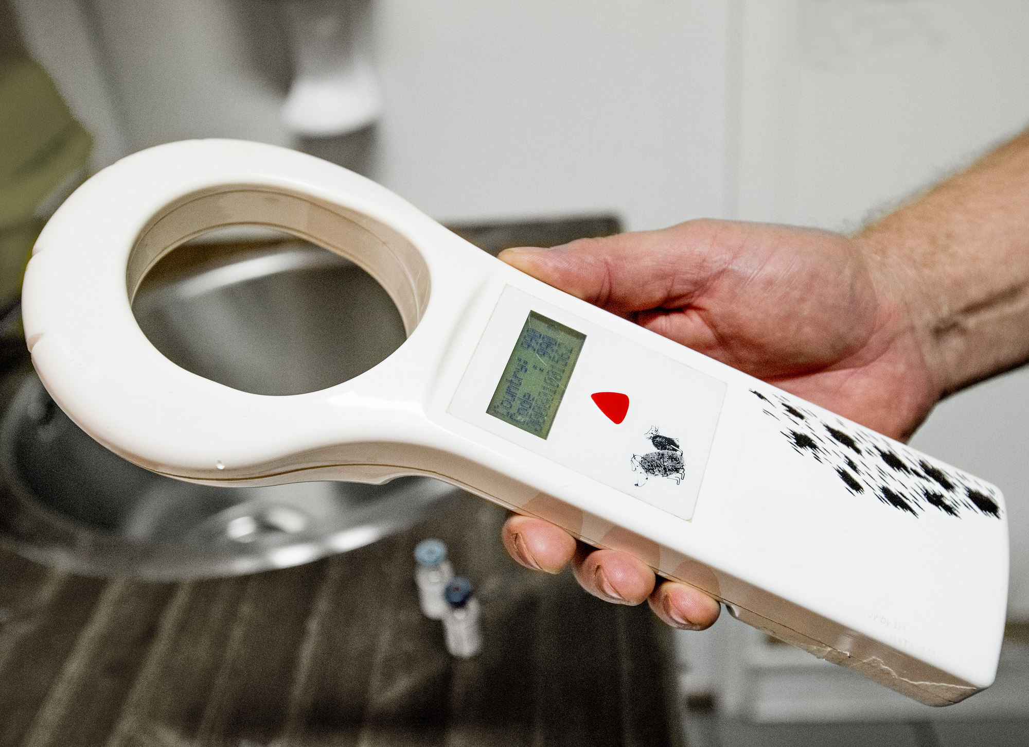 Koirien tunnistusmerkintä ja rekisteröinti pakolliseksi vuonna 2023 – Asetuksella pyritään lopettamaan pentutehtailu