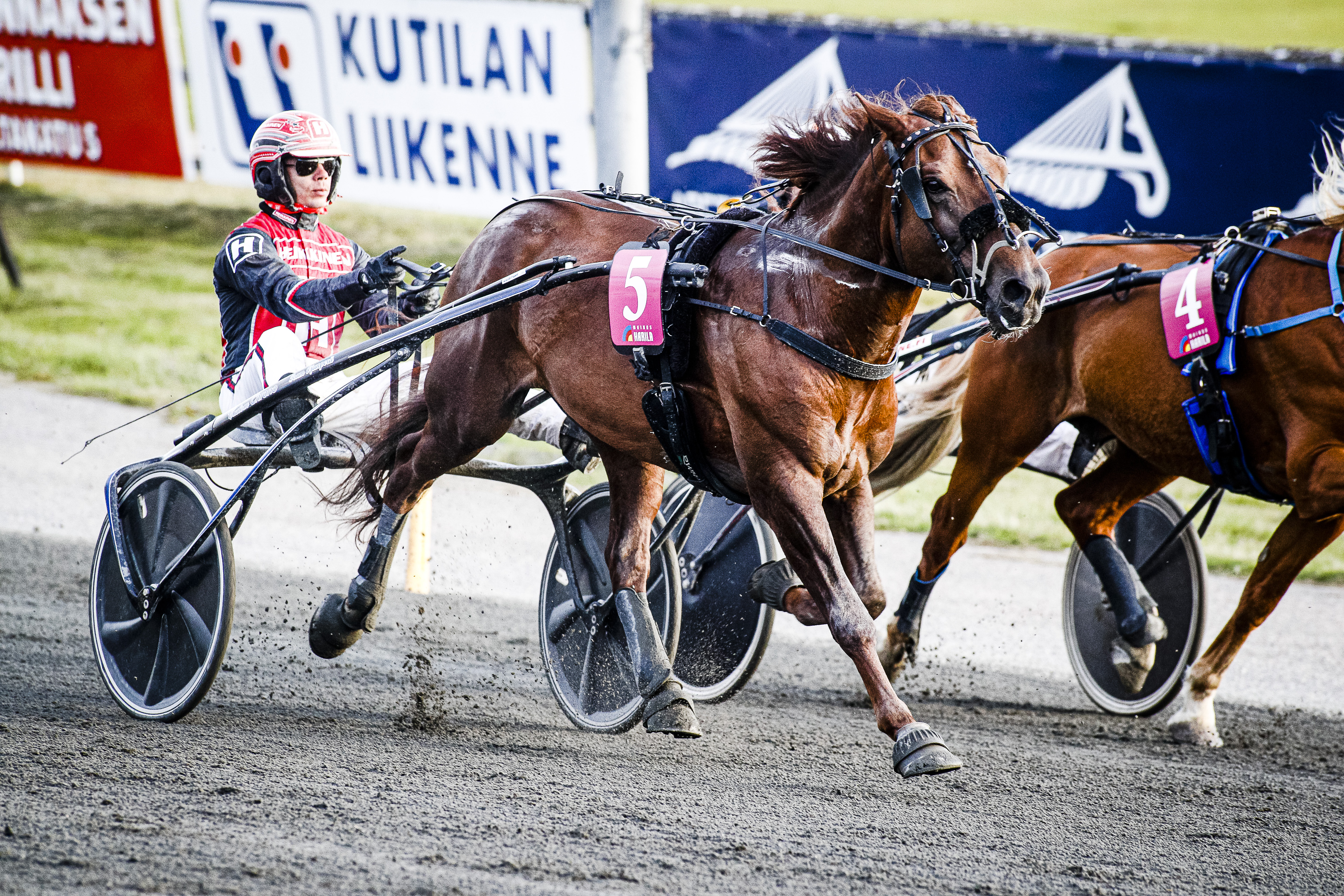 Elitloppetissa ja Elitkampenissa kilpaillaan miljoonien kruunujen poteista