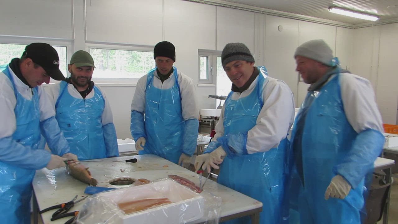 Puolan kalastajia oppia onkimassa