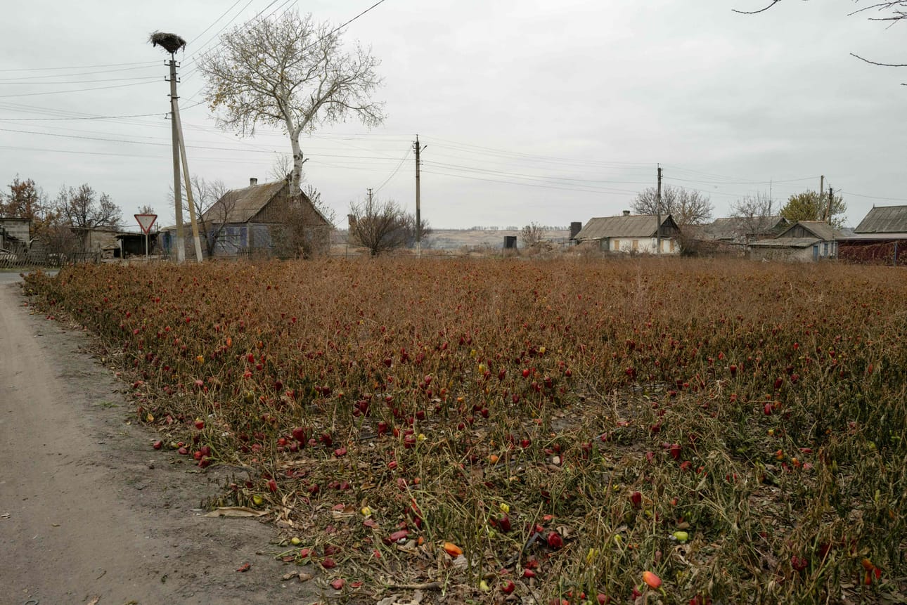 Kuvituskuva Donetskista 13. marraskuuta 2024.