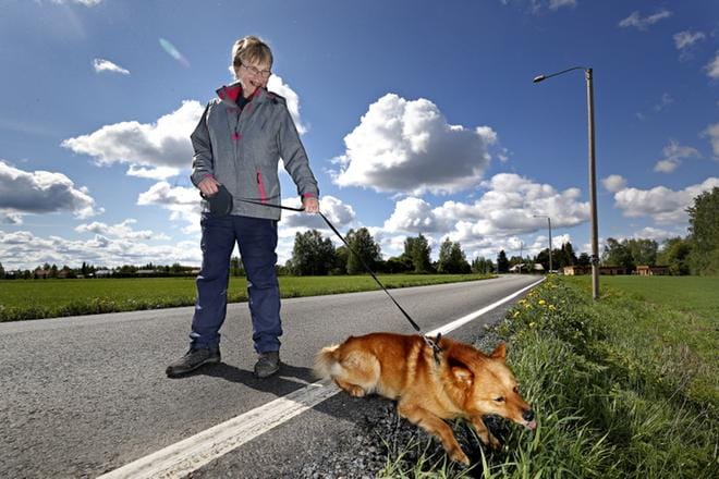 Leena Männistö lenkkeilee Nurmonjoentiellä päivittäin Mosse-koiransa kanssa. Jatkossa kävelijät ja pyöräilijät kulkevat kevyen liikenteen väylällä. KUVA: KARI LÖFHJELM