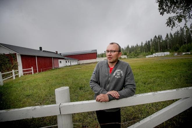 Heikki Koiviston maatilan aurinkopaneelit on sijoitettu navetan katolle. KUVAt: JAAKKO ELENIUS