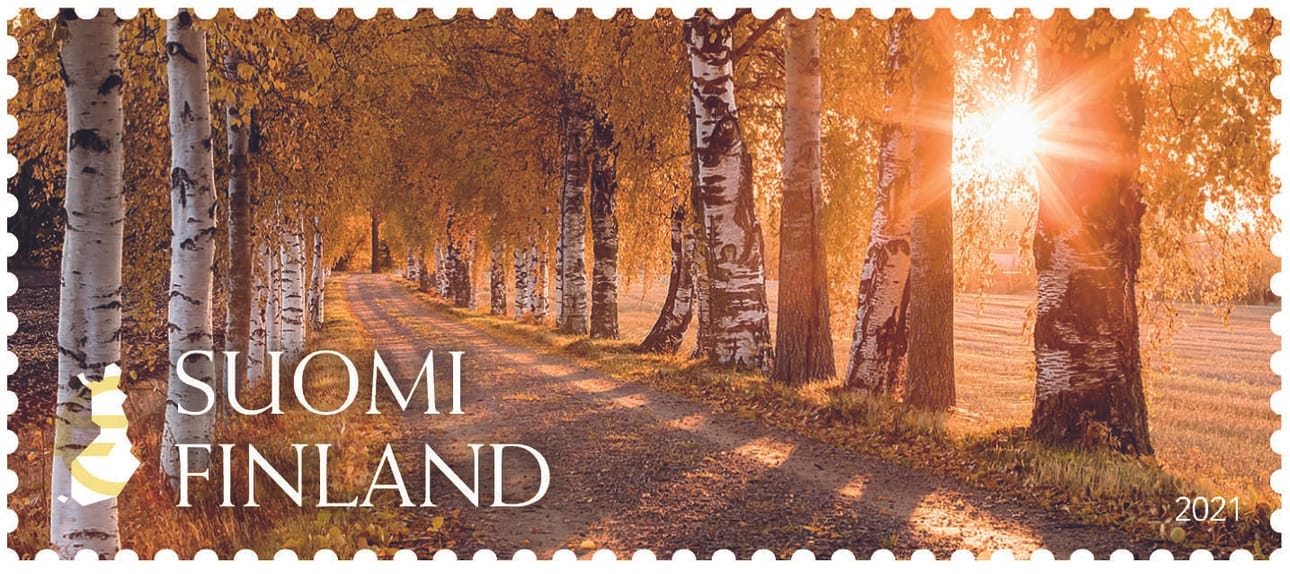 Koivukuja-postimerkin koivukuja on Lapualla, Haapakosken ja Tiistenjoen välillä.