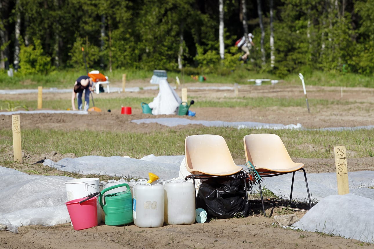 Hietasaaren viljelypalstojen tilalle halutaan rakentaa huvipuisto.