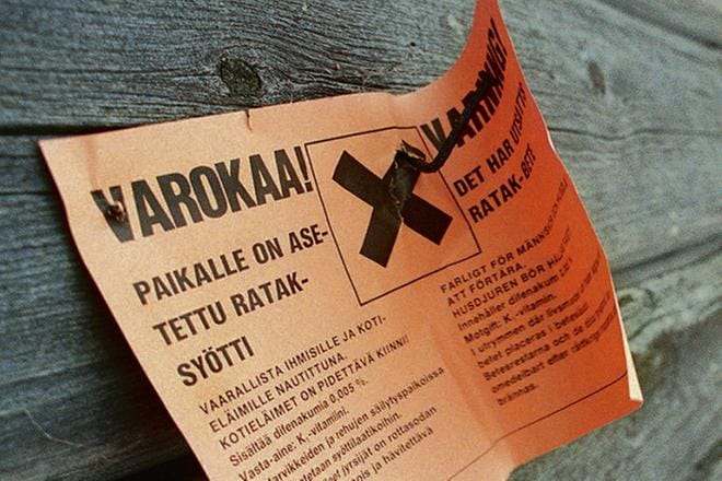 Myrkkysyötit voivat kantautua maastoon myös rakennuksista, joihin niitä on levitetty rottien takia. Arkistokuva: Harri Toivola