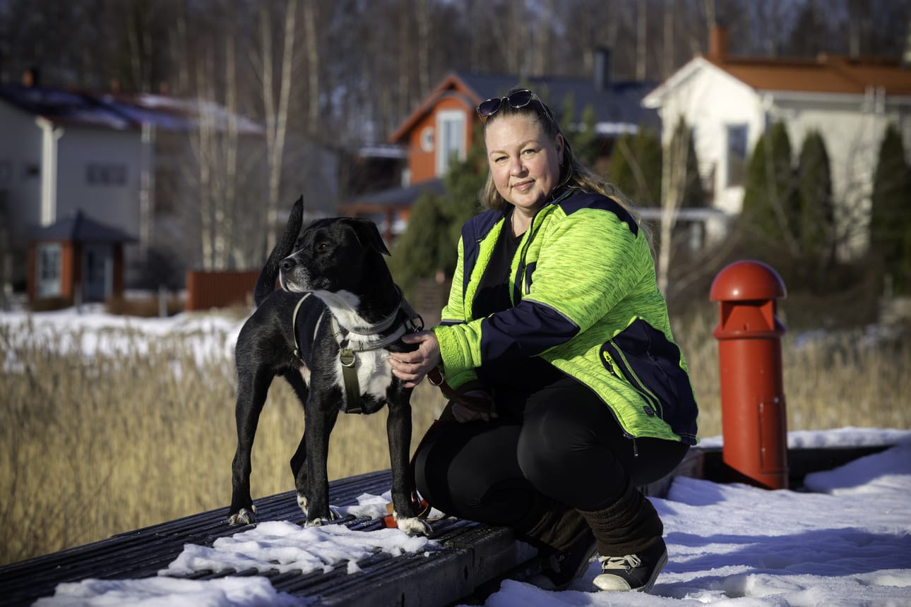 Nuori rescue-koira Jack löydettiin kodittomien koirien tarhalta Malagasta, Espanjasta. Nyt vaasalaisen Tiina-Mari Kanniston hoivissa oleva hylätty koira etsii pysyvää kotia.