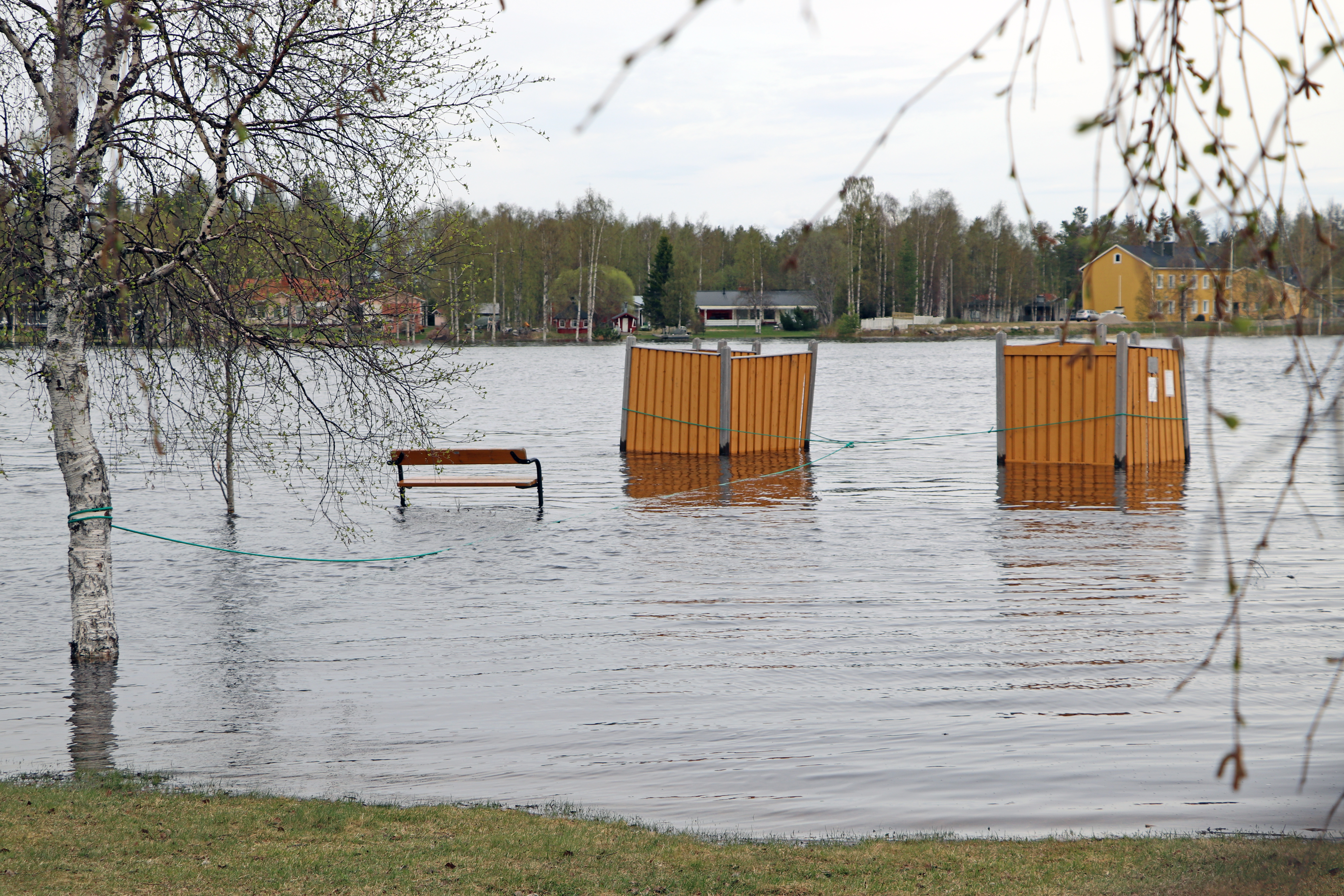 Iijoen Rajamaanranta 27.5.2020.