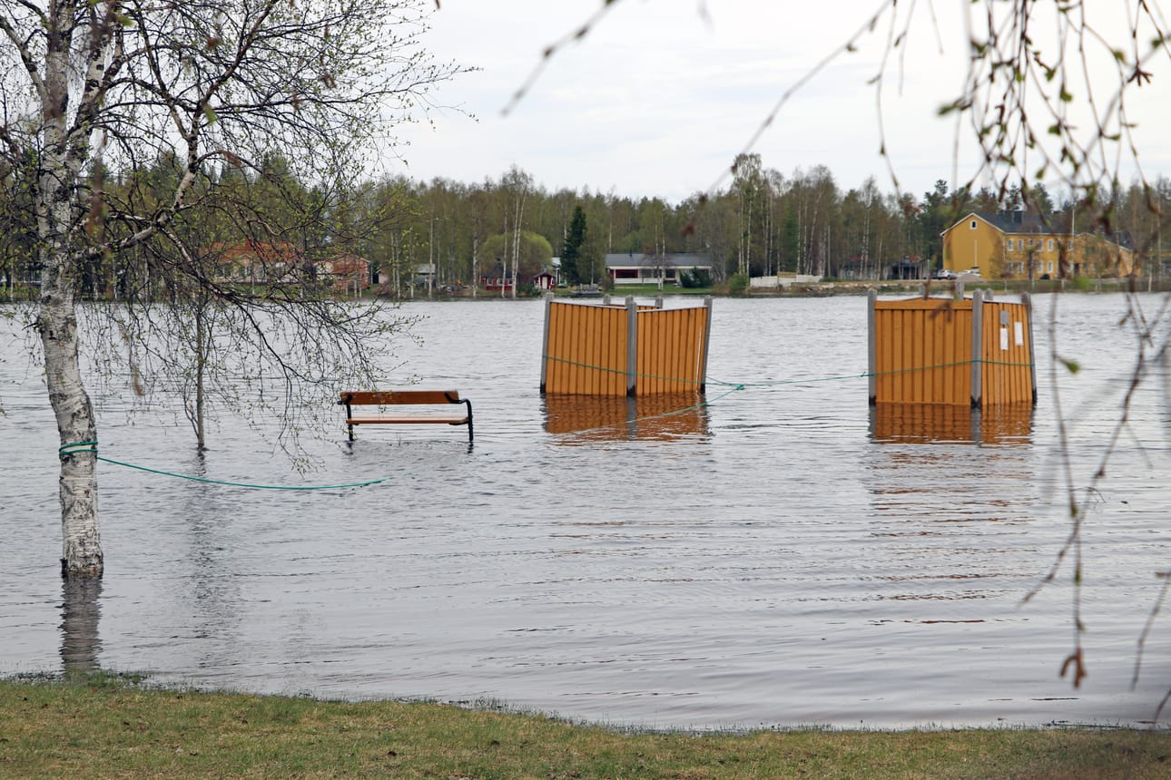 Iijoen Rajamaanranta 27.5.2020.