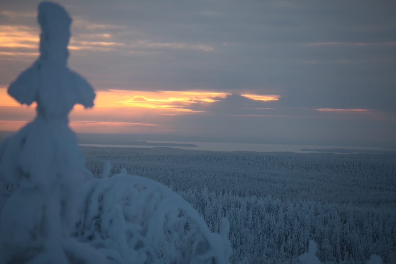 Luontoyhteys on suomalaisilla Pekka Harju-Autin mukaan erityisen hyvä.