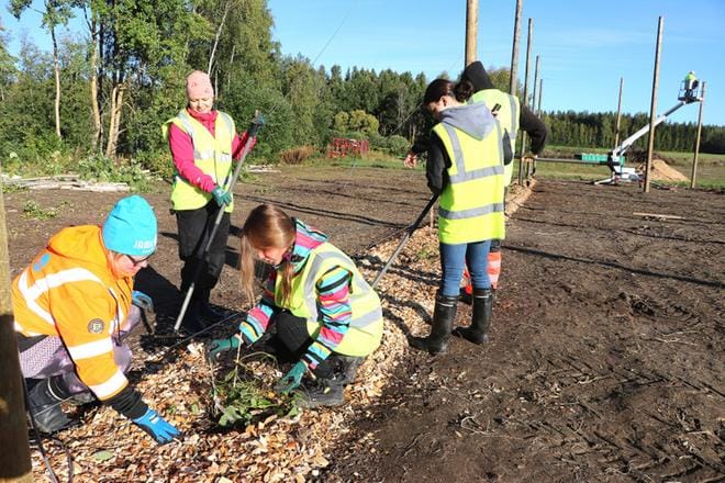 Puutarha-alan opiskelijat Aleksandra Petrova, Angelina Isakova, Ekaterina Balina ja Rodion Mamedkuliev isuttivat humalan taimia Mervi Ukonmäen johdolla.