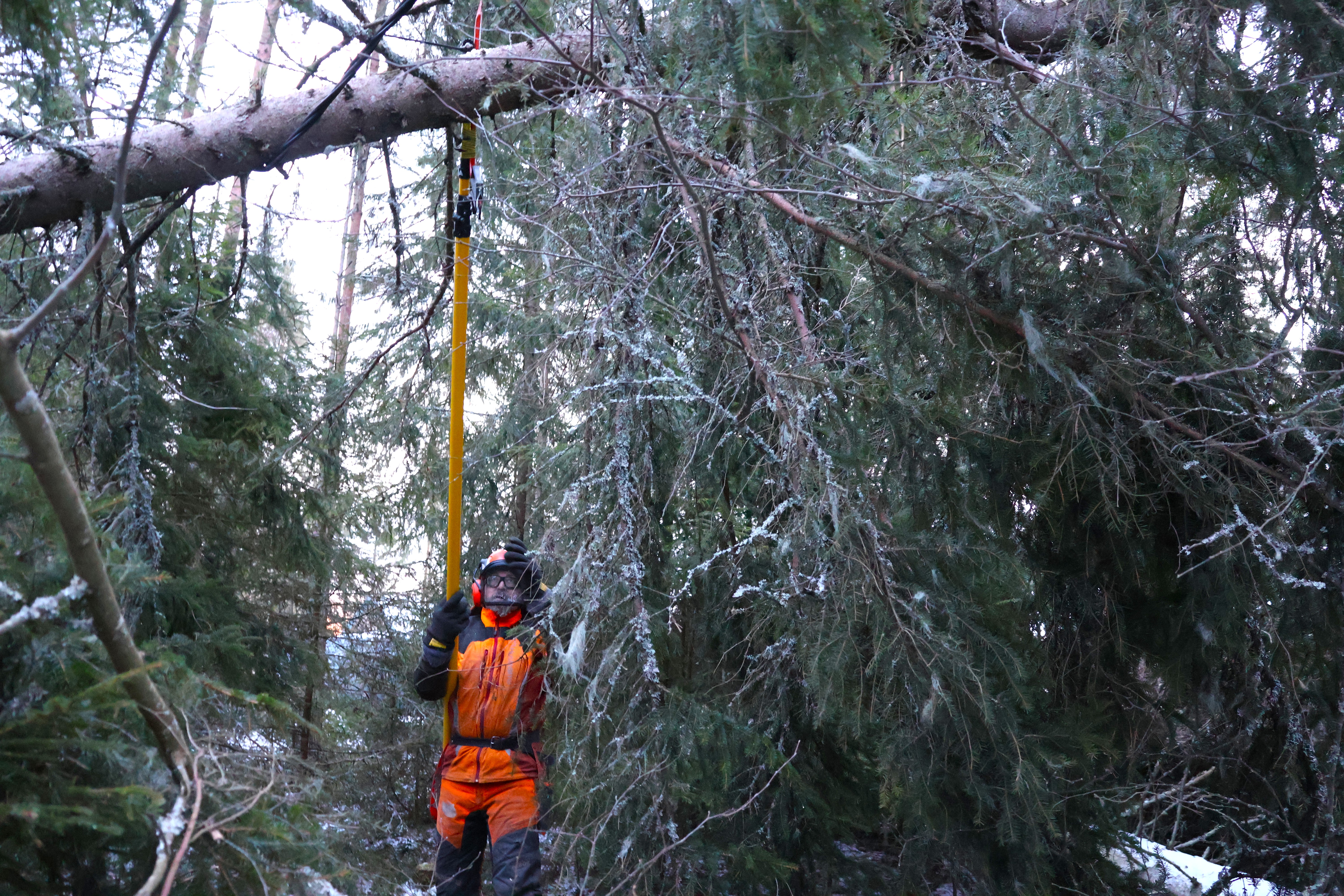 Metsuri tekee pitkiä päiviä sähköjen palauttamiseksi