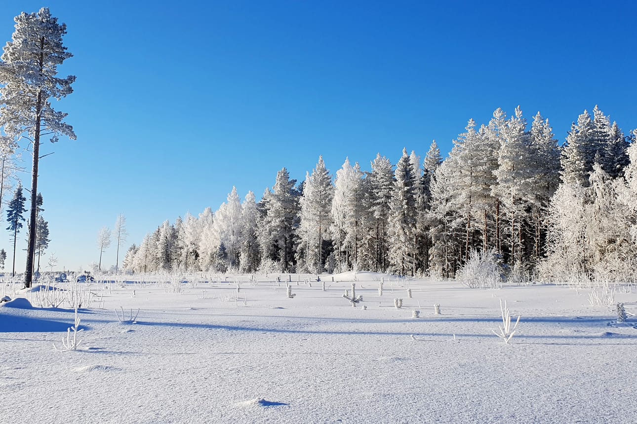 Kallin-Karungin hiihto- ja vaellusreitti kulkee datakeskuksen hankealueella. Yhtiön mukaan reitti aiotaan huomioida huolellisesti suunnittelussa ja varmistaa virkistystoiminnan säilyminen.