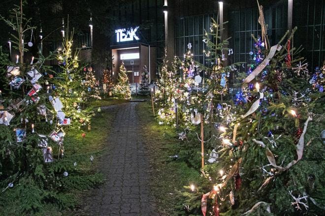 Joulukuusipuisto Teakin kiinteistön edustalla on pystyssä loppiaiseen saakka. KUVA: JORMA HAVULA