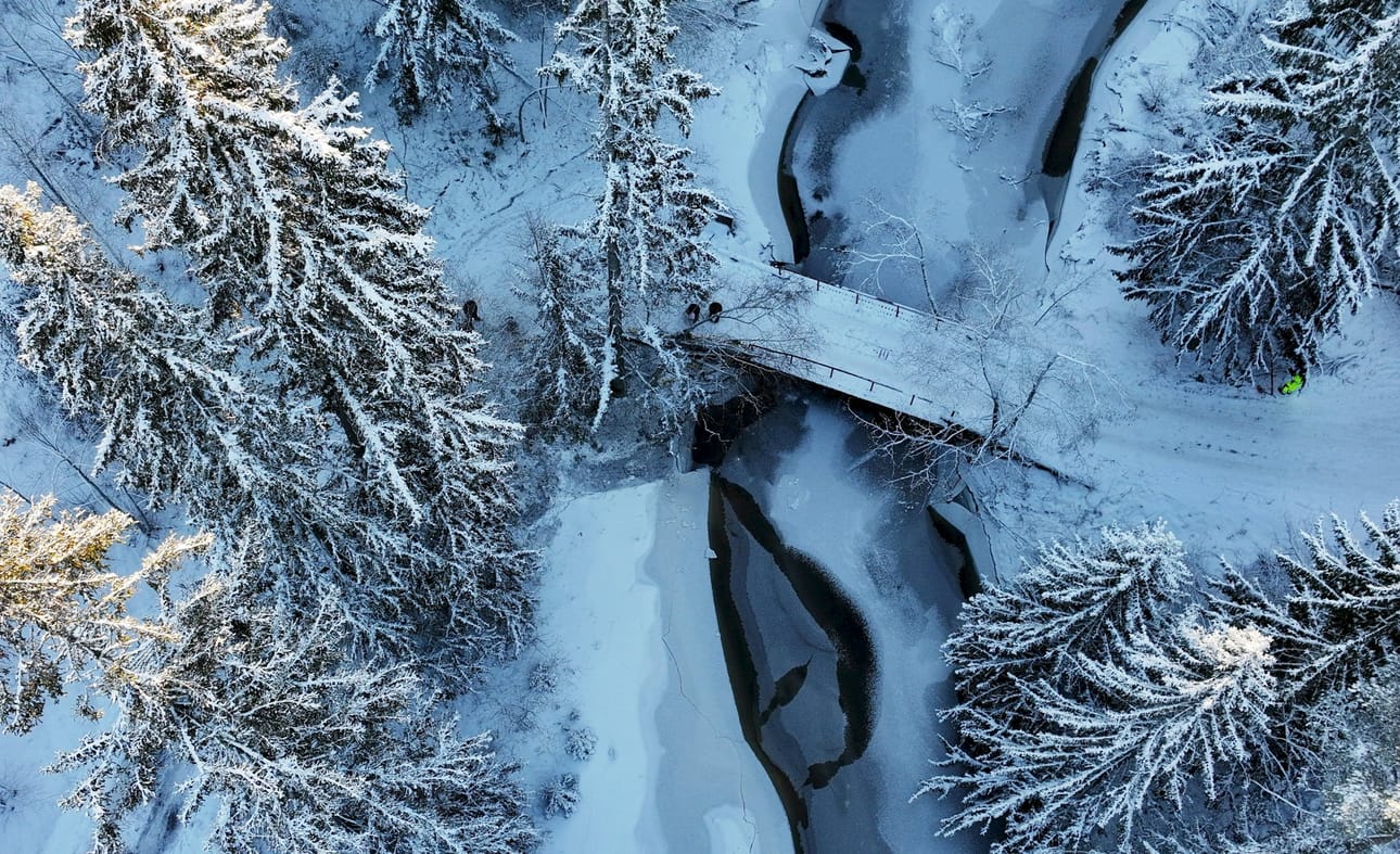 Poliisin mukaan Tulvatie oli onnettomuushetkellä liukas ja auton suistumiskohdassa on mäki. LEHTIKUVA / Antti Aimo-Koivisto