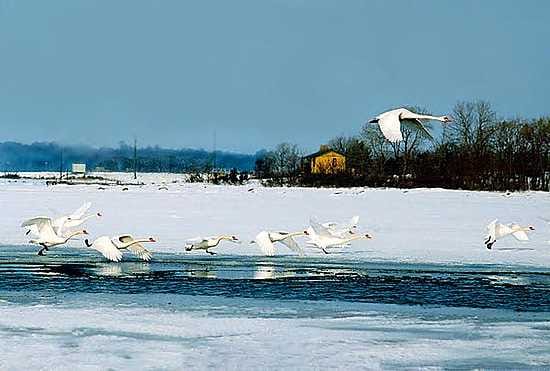 1990-luvulla Ahvenanmaan ulkosaaristo pysyi monena talvena jäättömänä. Nykyisin meri jäätyy enää harvoin. Kuva on Lemlandista.