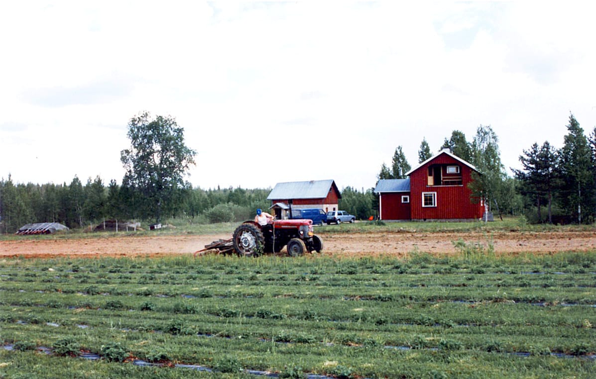 Vuosikertaa 1962 oleva kuljettaja ajaa parasta mahdollista vuosikertaa olevalla Massey Ferguson -65 -traktorilla vuonna 1953 perustetun asutustilan pellolla joskus 1980-luvun loppupuolella.