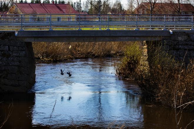 Kuva ei liity tapaukseen. Kuvituskuva: Minna Hirvelä
