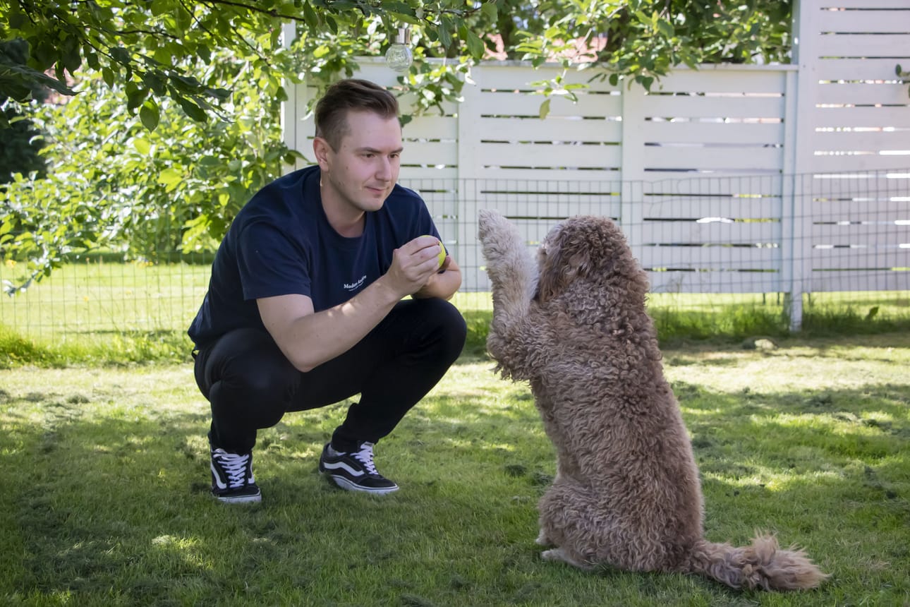 Antti Annola viihtyy estradeilla niin laulamassa kuin näyttelemässä.
