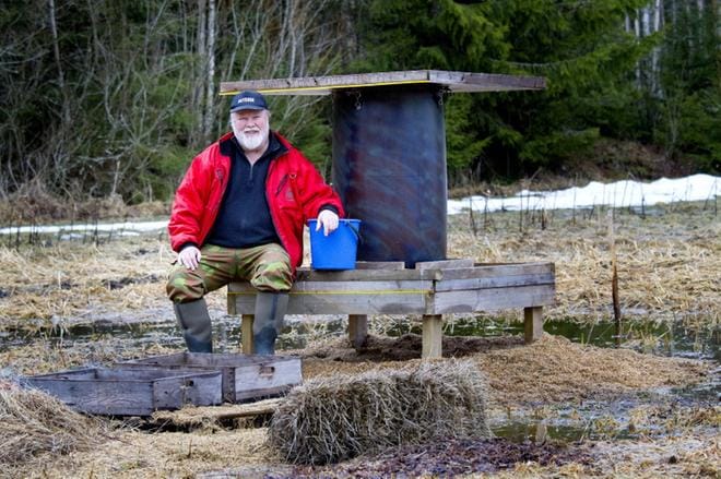 Alahärmäläinen Juha Kaarlenkaski on ruokkinut metsäkauriita vuosien ajan. Eri eläinyksilöt alkavat erottua. KUVA: JARI E. HAKALA