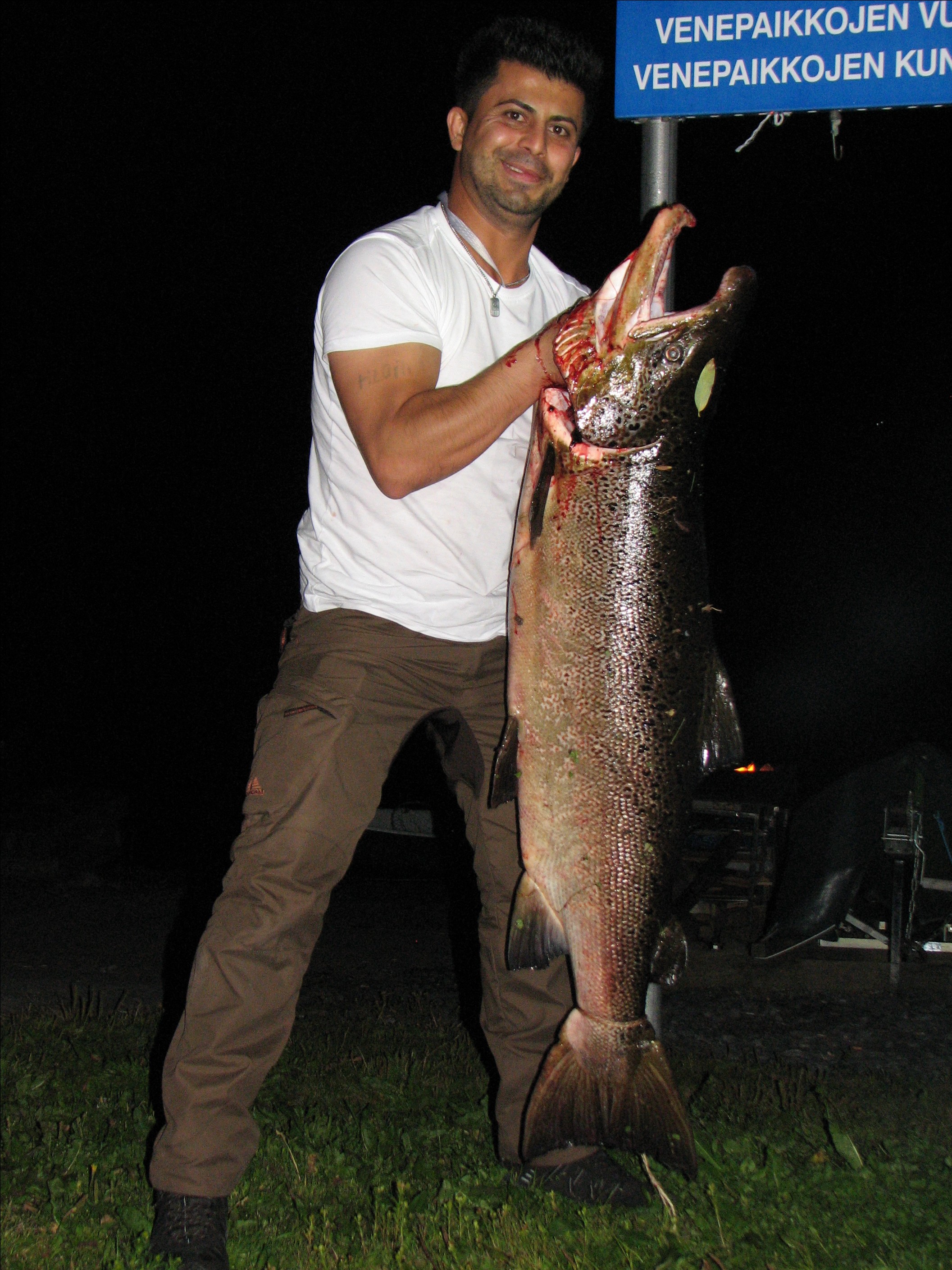 Kalakuva   Azad Kauden ensimmäinen Kojamo Merikoskelta, 9.8.2017.  20,5Kg 125Cm   Klo:22:55  Putkiperholla