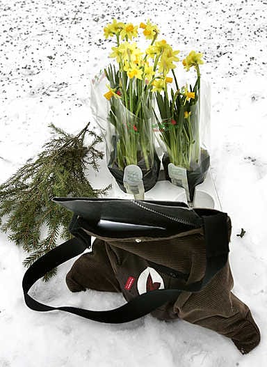 Pahin pelkääminen taittuu kynän voimalla. Alfred Hitchcockia mukaillen Taideseura Lakeuden puheenjohtaja Leena Arhippainen muistuttaa, että pelottavaa on se mitä ei näe,se minkä mielikuvituksemme täydentää ja se mistä saamme vain vihjeen.