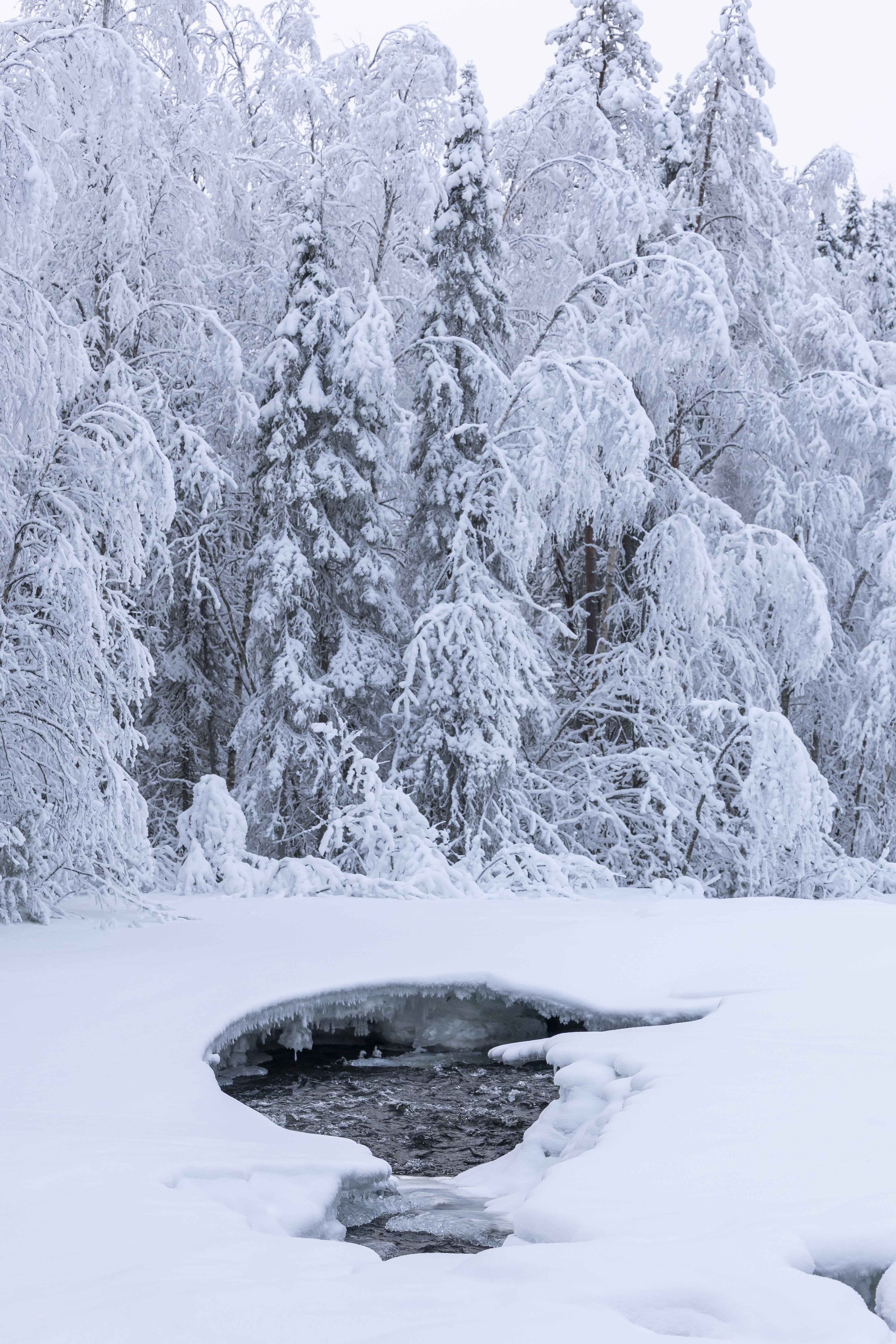 Jokivesien jääkansi vajoaa monin paikoin talven edetessä, ja tämä synnyttää petollisia onkaloita. Kuva on Kitkajoen putaalta Myllykosken Putaansaaren itäpuolelta.