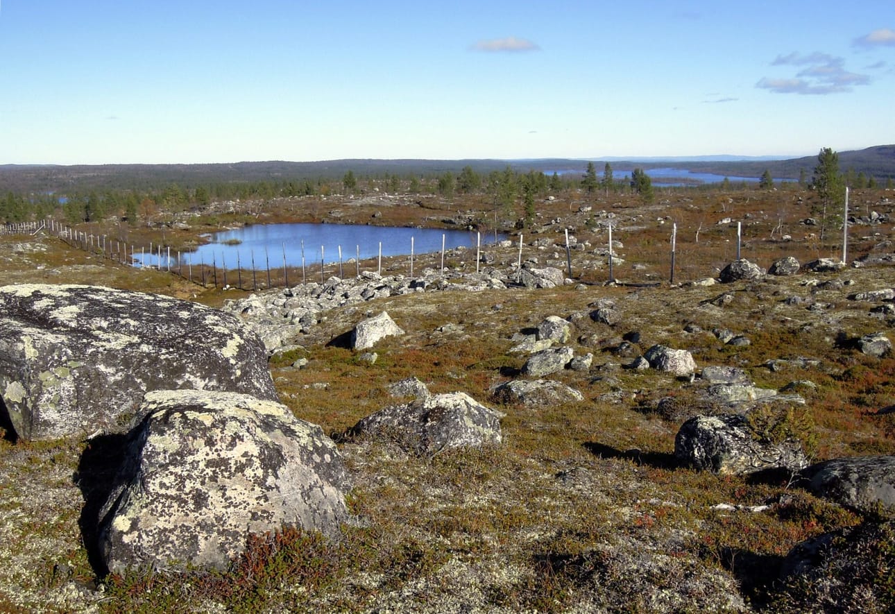 Inarissa on tällä hetkellä voimassa maastopalovaroitus, ja maasto on kuivaa. Arkistokuva on Vätsärin erämaa-alueelta, joka sijaitsee Sevettijärven lähistöllä. LEHTIKUVA / Ritva Siltalahti
