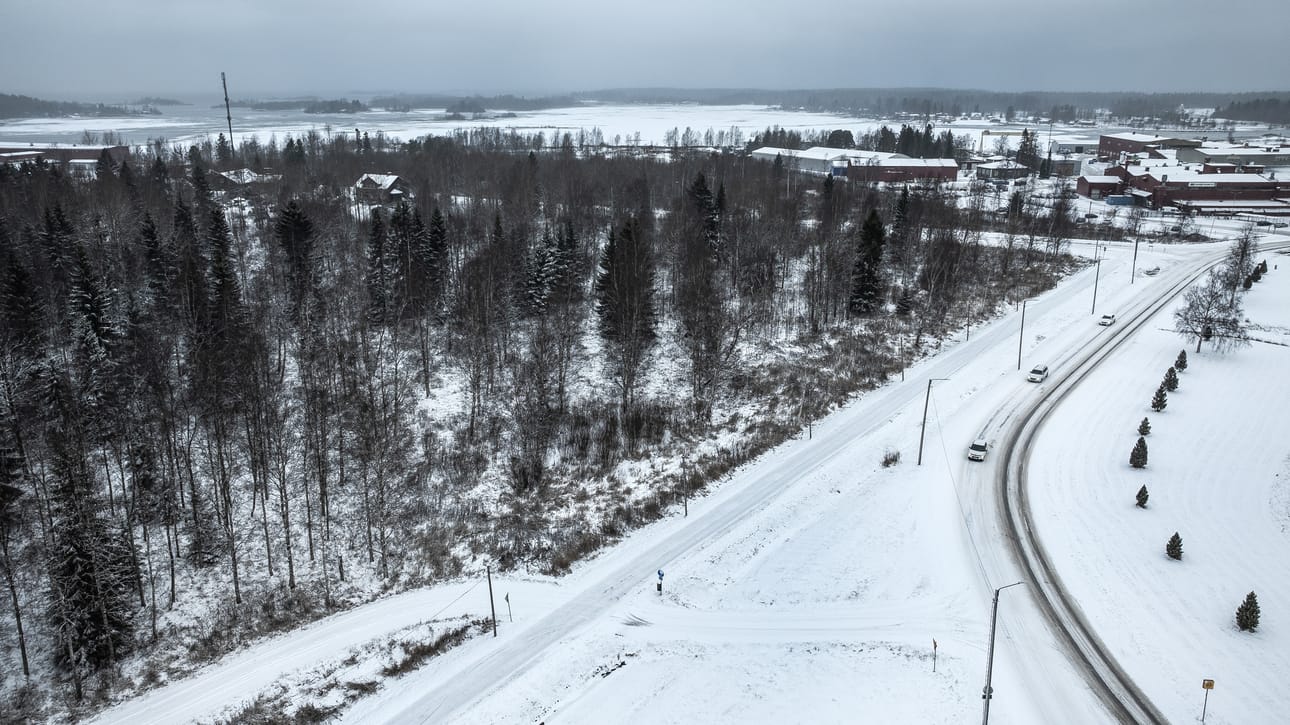 Lähes puolet Varvin itäosan alueesta on entisiä peltoja, jotka ovat olleet viljelyssä 1960-luvulle saakka ja pensoittuneet ja metsittyneet sen jälkeen vähitellen. Vuoden 2019 luontoselvityksessä alueen eteläosa oli rajattu arvokkaana luontokohteena, jonka lehtomaisen kangasmetsän puusto on ollut kuusivaltaista ja kuuset järeitä ja osin iäkkäitä.