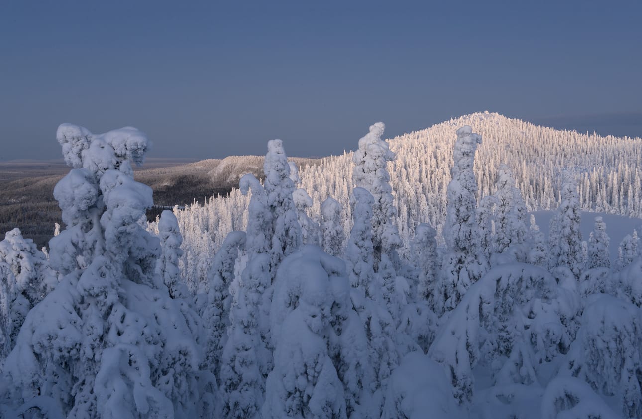 Metsähallitus pyysi lausuntoa Valtavaaran ja Pyhävaaran luonnonsuojelualueen järjestyssäännön muutokseen.