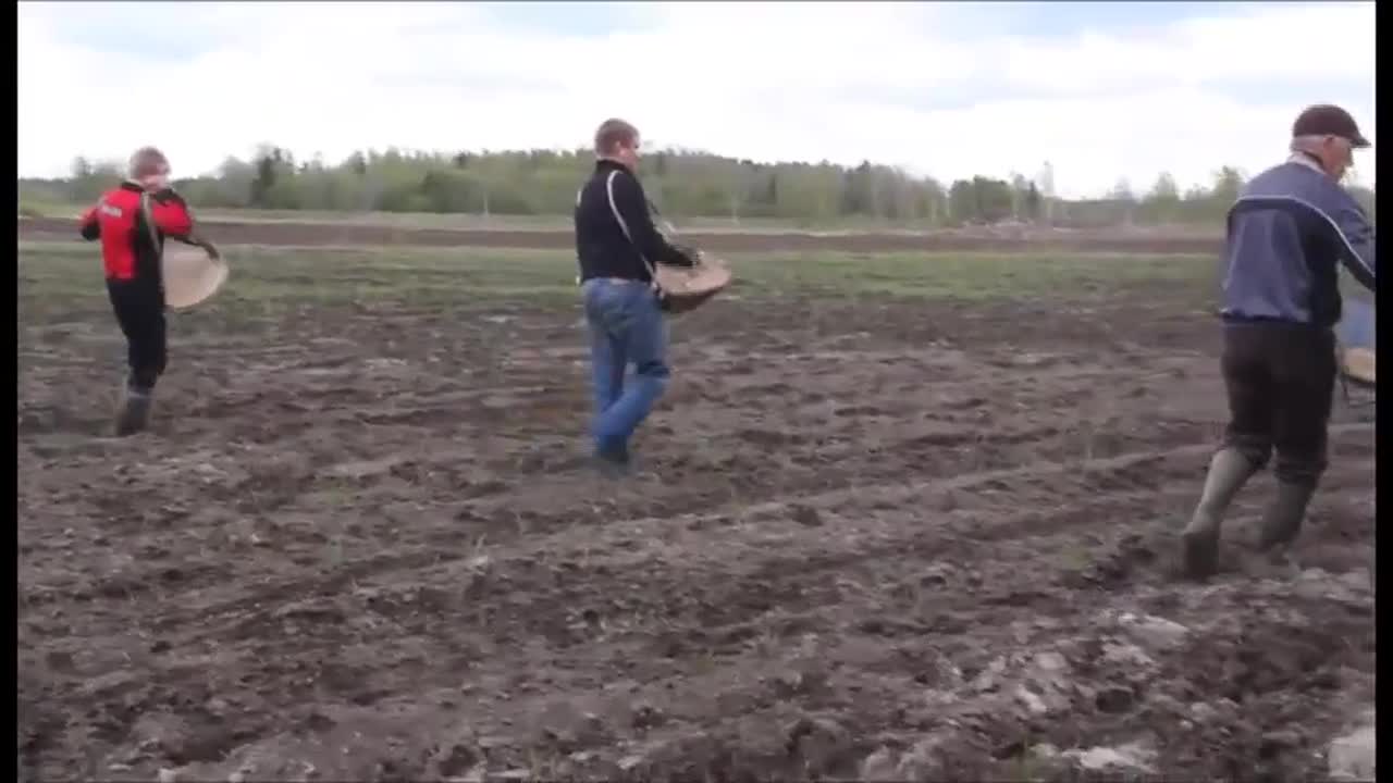 Toukosiunaaminen Petäjäskoskella