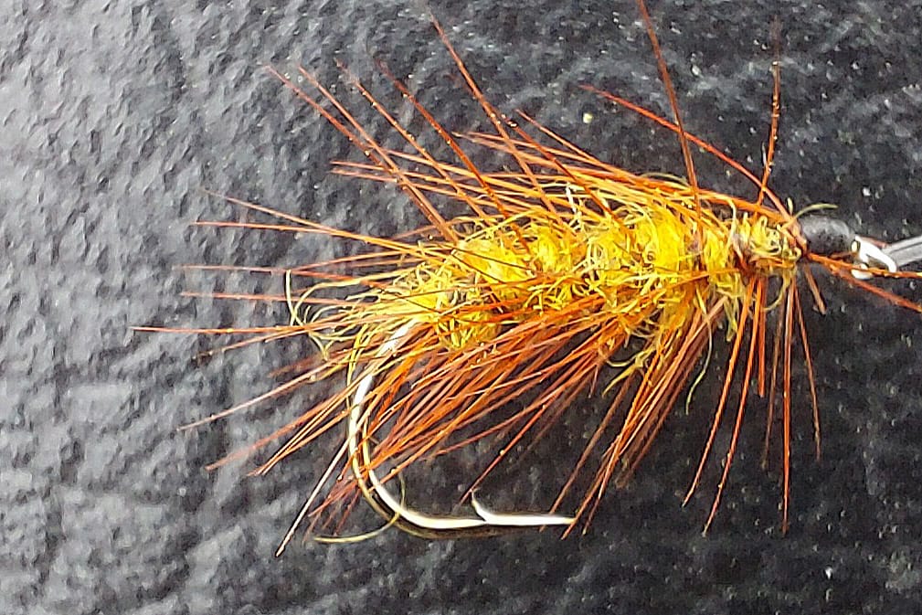 Kaijakka on pintaperho.