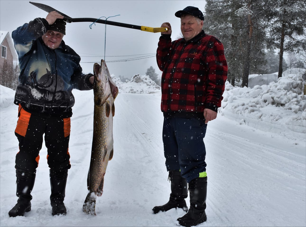 Heino (vas.) ja Kalevi Simontaival saivat ison haun keskiviikkona Laukkujärvestä Posiolta. Vönkäleellä pituutta on 1,32 metriä, painoa 14,540 kiloa ja ympärysmitta 55,5 senttiä.
