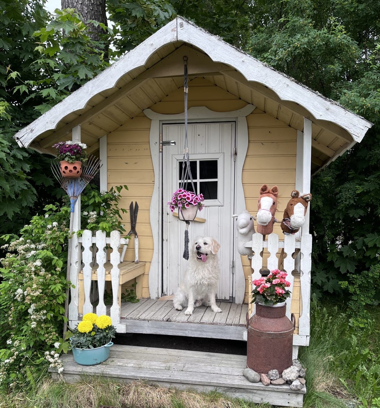 Mökki numero 15