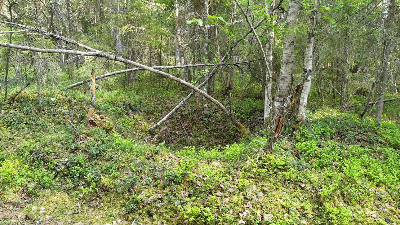 Luu- tai leikkuuhuoneen jättämä painanne Tervolan vanhalla hautausmaalla.
