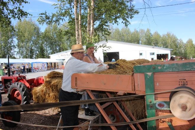 Karijokelaiset Jussi Isomarttunen ja Sabina Parkkamäki puivat viljaa tappurilla, joka oli käytössä aikana ennen nykypäivien puimuria. KUVA: TAUNO RIIHILUOMA