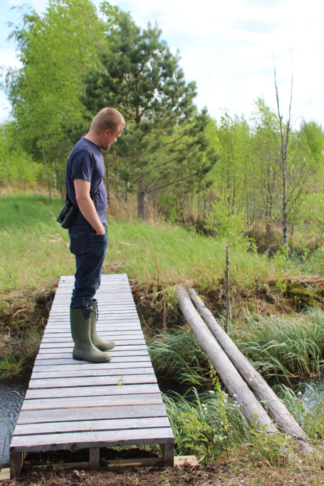 Kulun helpottamiseksi ojat pääsee ylittämään siltoja pitkin. Oikealla on sillan ensimmäinen versio, jonka Auvinen rakensi metsänlaidasta kaatamistaan ja uittamistaan tukeista.
