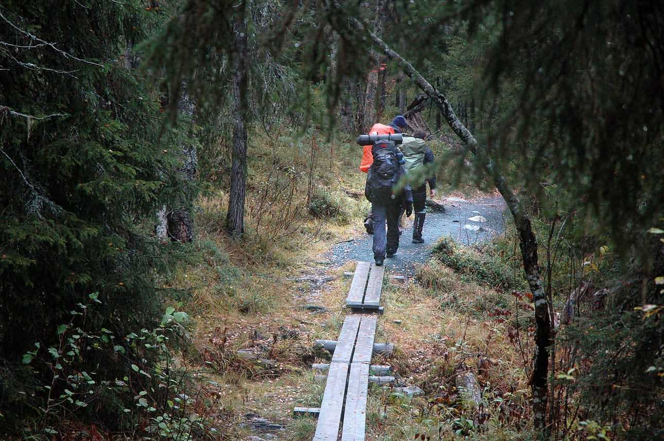 Pitkospuut jäävät entistä harvinaisemmiksi vaellusreiteillä ja tilalle tulee kivennäismaasta tehty sorapolku.