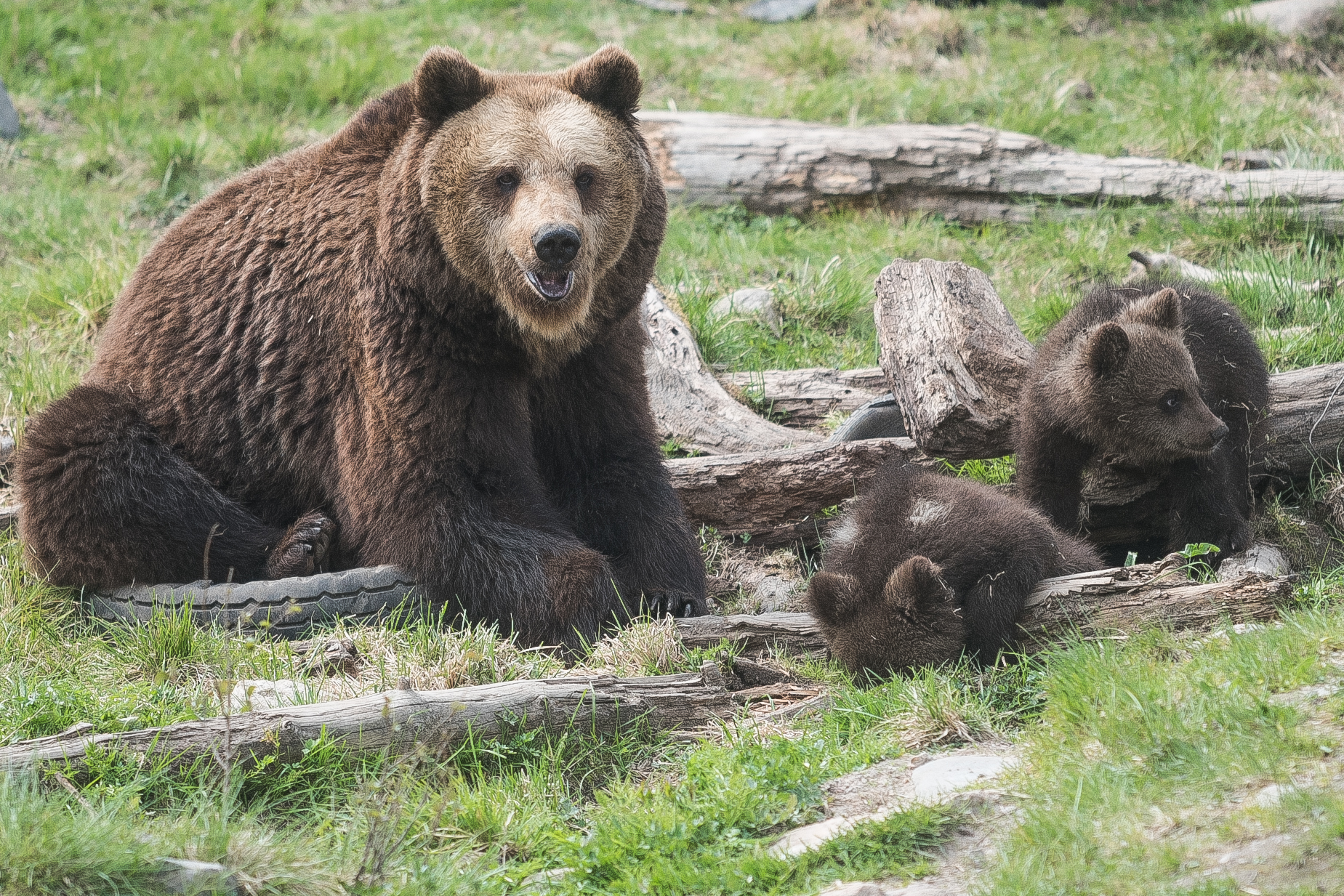 Oulun käräjäoikeuden ratkaistavana oli Kuusamon suurpetokeskukseen liittyvä riita.