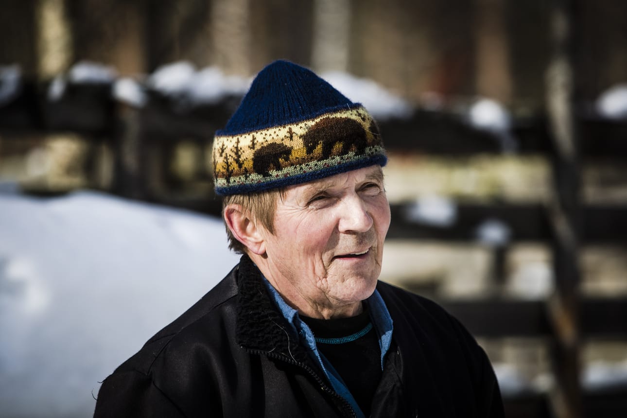 Suomussalmelainen Leo Juntunen pitää porojaan petorikkaassa Hossa-Irnin paliskunnassa. Kahdeksan vuoden aikana valtio on maksanut hänelle petovahinkoina yli miljoona euroa.